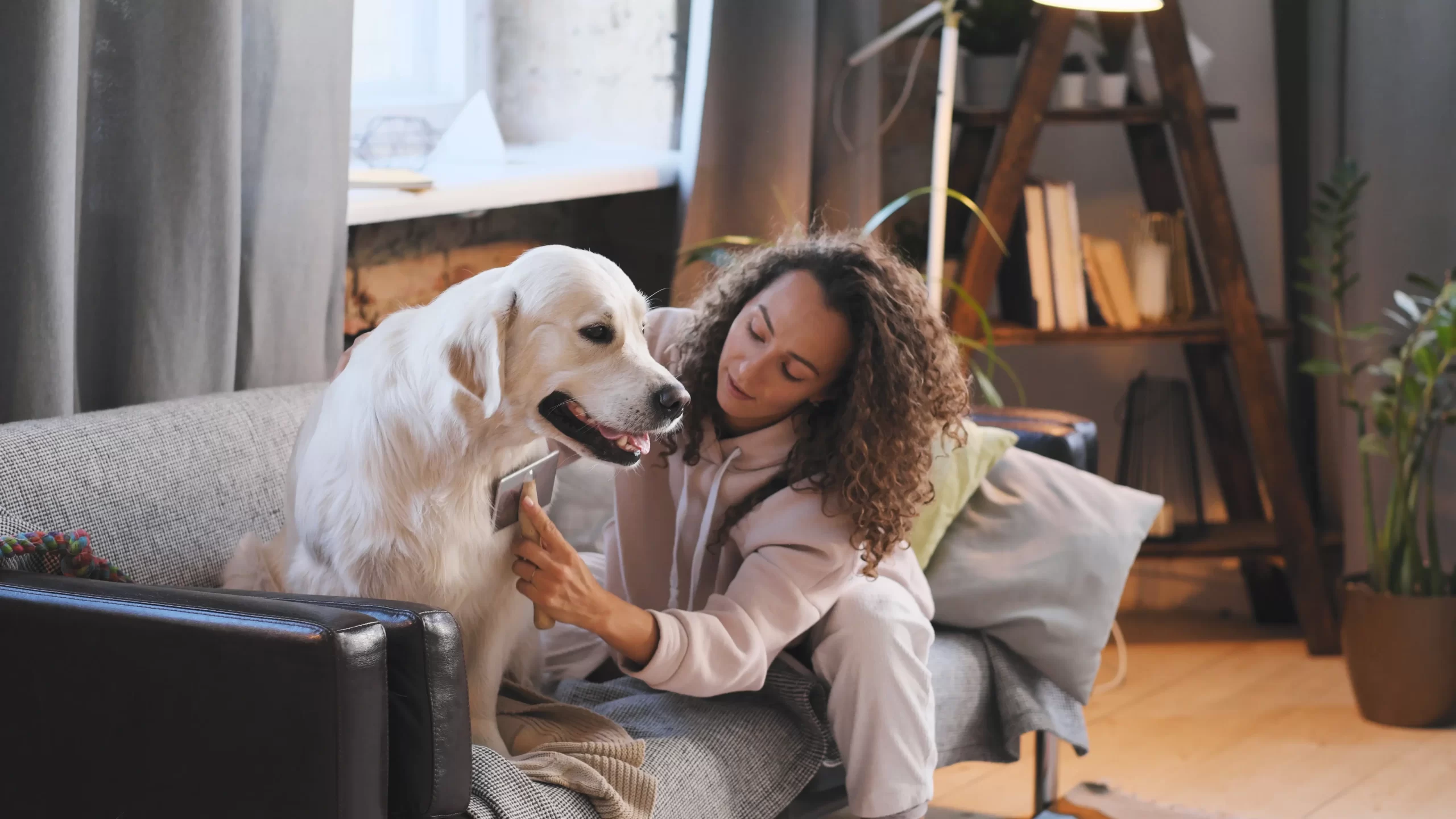 A woman grooming a dog