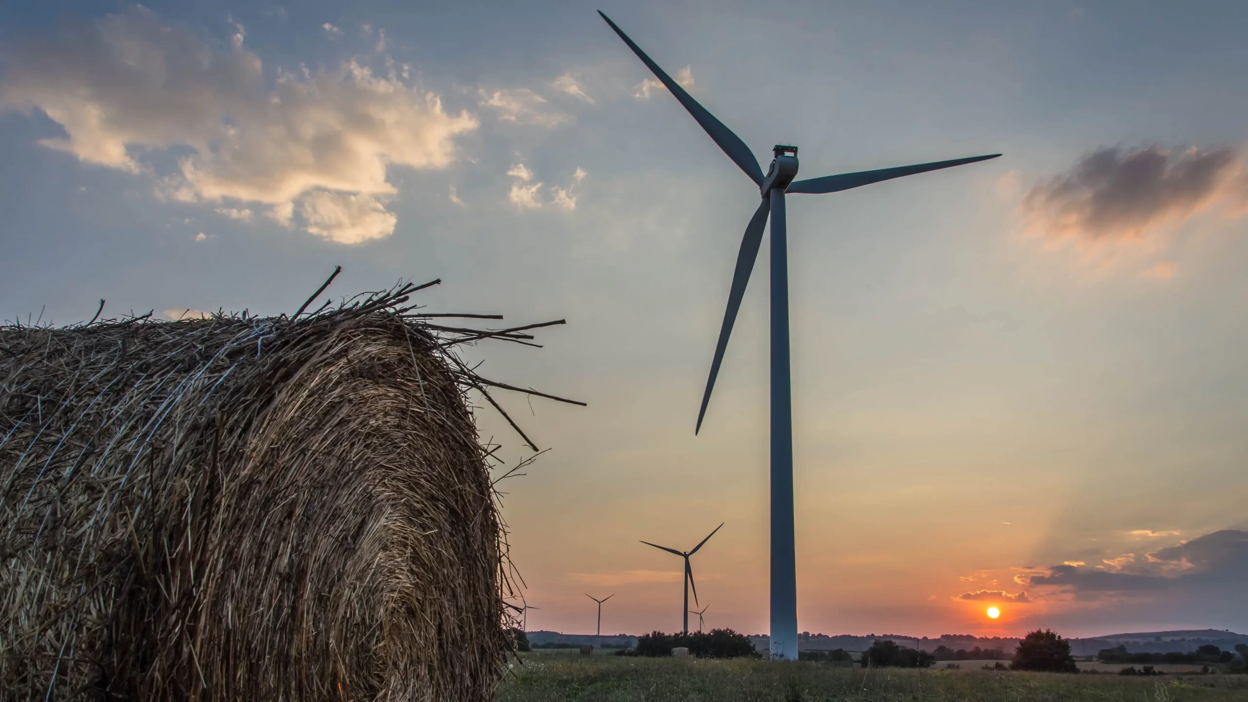 Wind turbines and a sunset